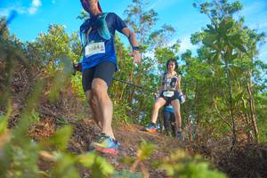 BIB: 2084
                            <button type="button" onclick="openModal(21843334)" class="btn btn-primary btn-sm float-right btn-popup" data-toggle="modal" data-target=".modal-high-quality">
                        <i class="fas fa-shopping-cart"></i> Add to Cart
                    </button>
                                            <button type="button" onclick="isThisMe(21843334, true)" class="btn btn-success btn-sm float-right btn-popup btn-isme hidden" data-toggle="tooltip" data-placement="bottom" title="นี่คือรูปของคุณใช่ไหม คลิกที่นี่เพื่อเอาเข้าอัลบั้ม">
                        <i class="fas fa-plus"></i> Add to album
                    </button>
                    <button type="button" onclick="isThisMe(21843334, false)" class="btn btn-warning btn-sm float-right btn-popup btn-isnotme hidden">
                        <i class="fas fa-ban"></i> Remove from album
                    </button>